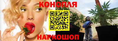 ешки Будённовск