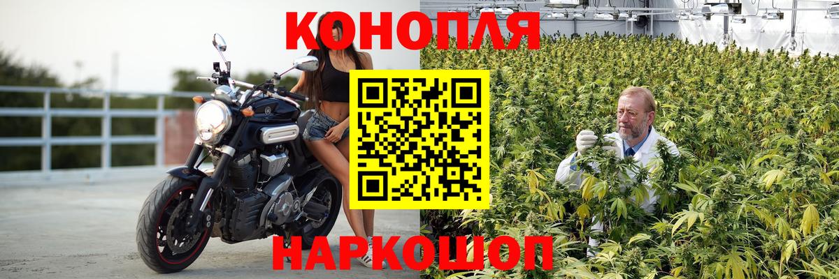 Бошки Шишки тримм Сорочинск